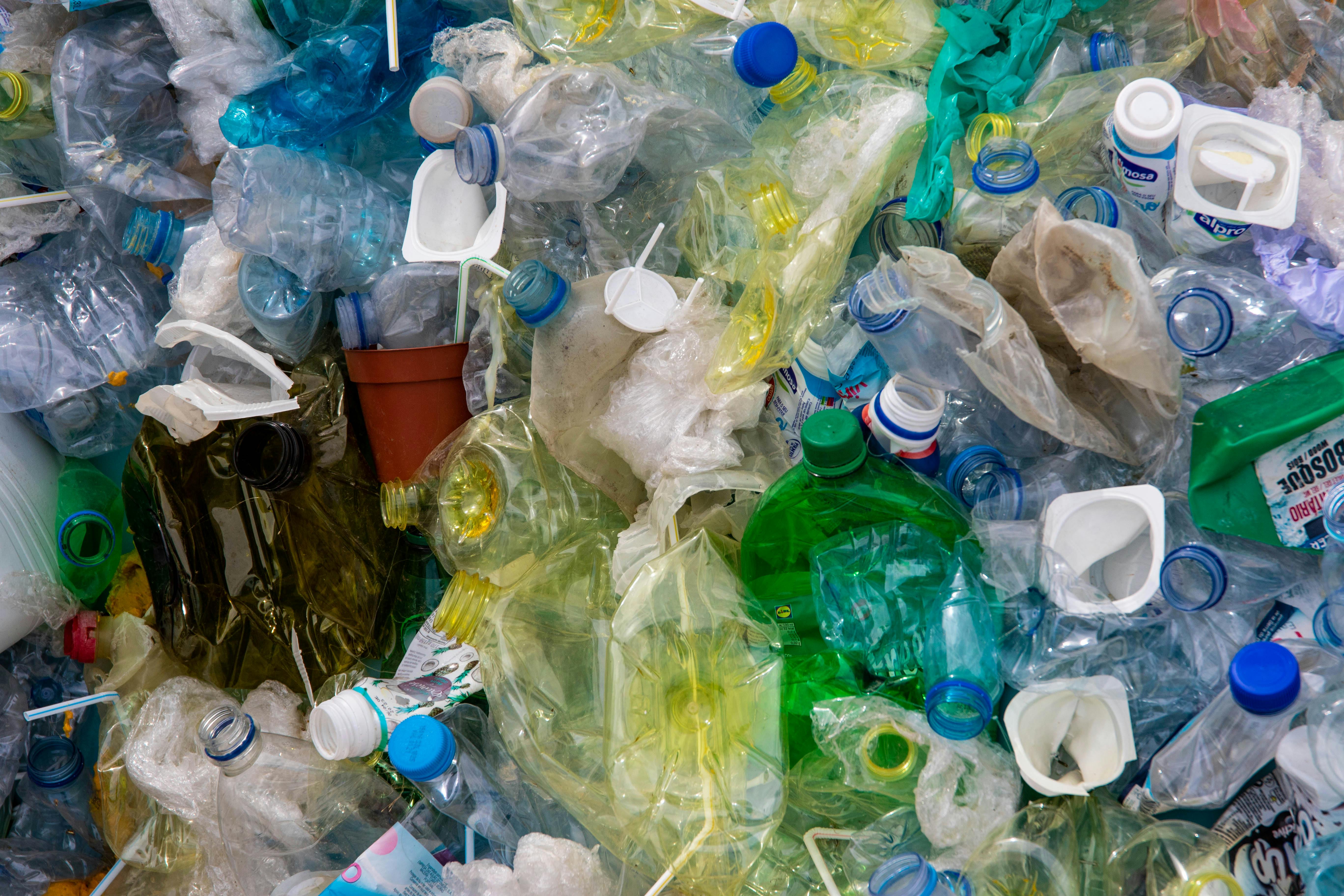 Nhựa dùng một lần: Tác hại vô tận đến môi trường và hệ sinh thái
